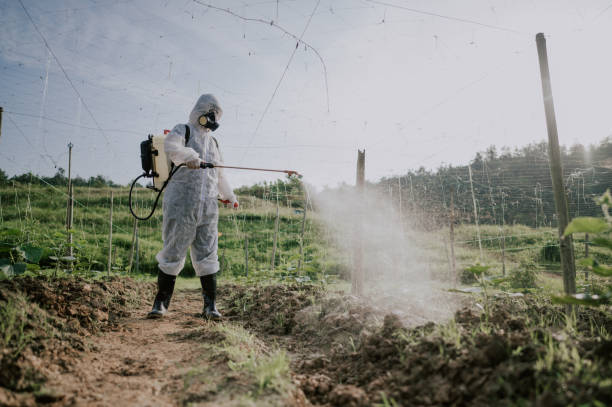 Best Affordable Pest Control Services  in Ansted, WV