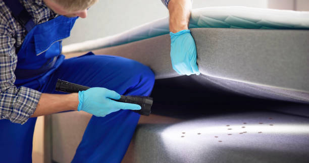 Best Mosquito Control Services  in Ansted, WV