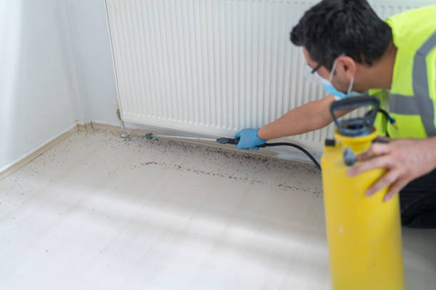 Best Wasp Removal Services  in Ansted, WV